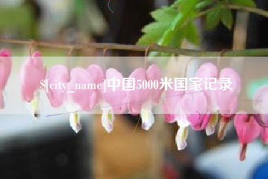 南漳中国5000米国家记录