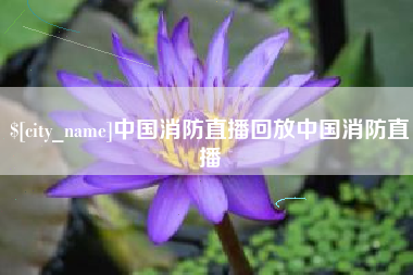 南漳中国消防直播回放中国消防直播