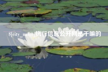 南漳执行信息公开网是干嘛的