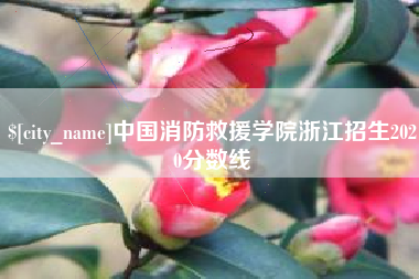 南漳中国消防救援学院浙江招生2020分数线