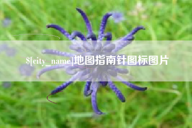 南漳地图指南针图标图片