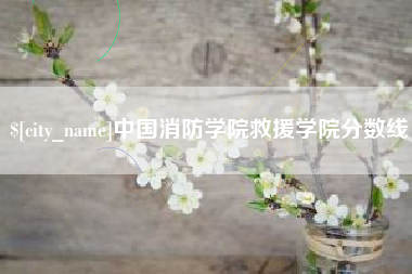 南漳中国消防学院救援学院分数线