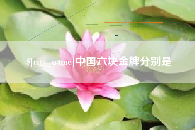 南漳中国六块金牌分别是