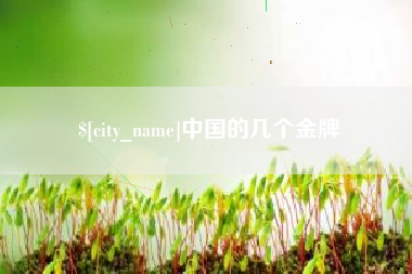 南漳中国的几个金牌