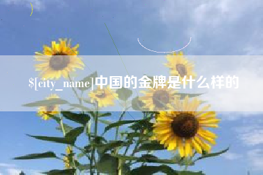 南漳中国的金牌是什么样的