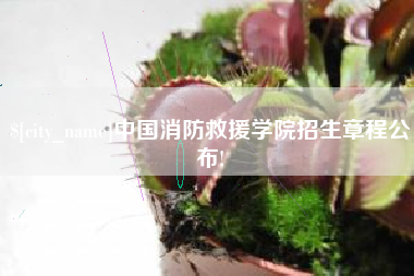 南漳中国消防救援学院招生章程公布!