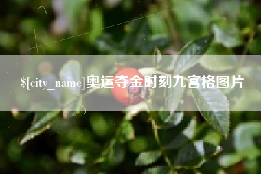 南漳奥运夺金时刻九宫格图片