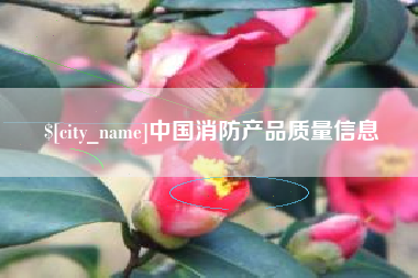 南漳中国消防产品质量信息