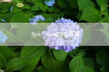 南漳2022九宫