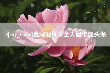 南漳金牌图片大全大图卡通头像