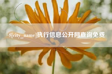 南漳执行信息公开网查询免费