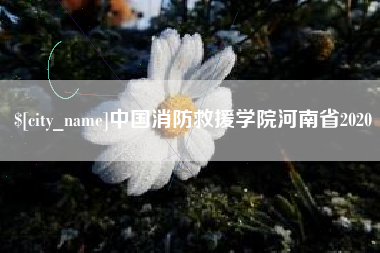 南漳中国消防救援学院河南省2020